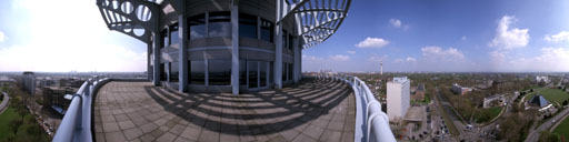 Dach der Mannheimer Versicherung, Westseite