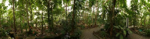 Bochum, Ruhr Uni, Botanischer Garten, Gewächshaus