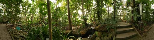 Bochum, Ruhr Uni, Botanischer Garten, Gewächshaus