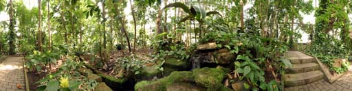 Bochum, Ruhr Uni, Botanischer Garten, Gewächshaus