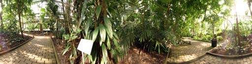 Bochum, Ruhr Uni, Botanischer Garten, Gewächshaus